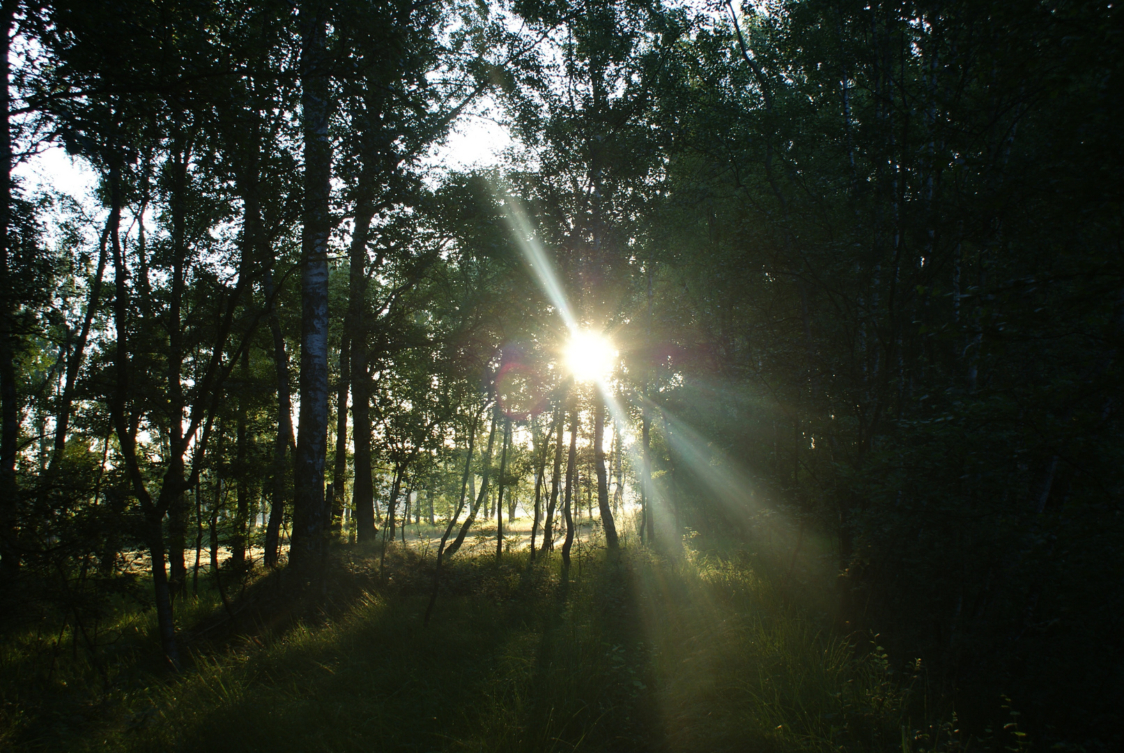 Sonnenaufgang in Niedersachsen