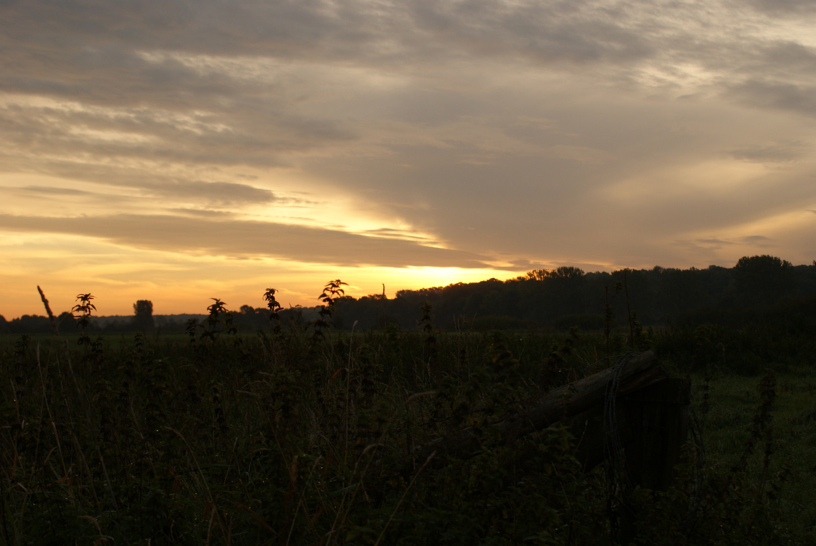 Sonnenaufgang in Nordkirchen