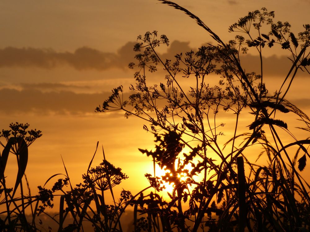 Sonnenaufgang in North Yorkshire