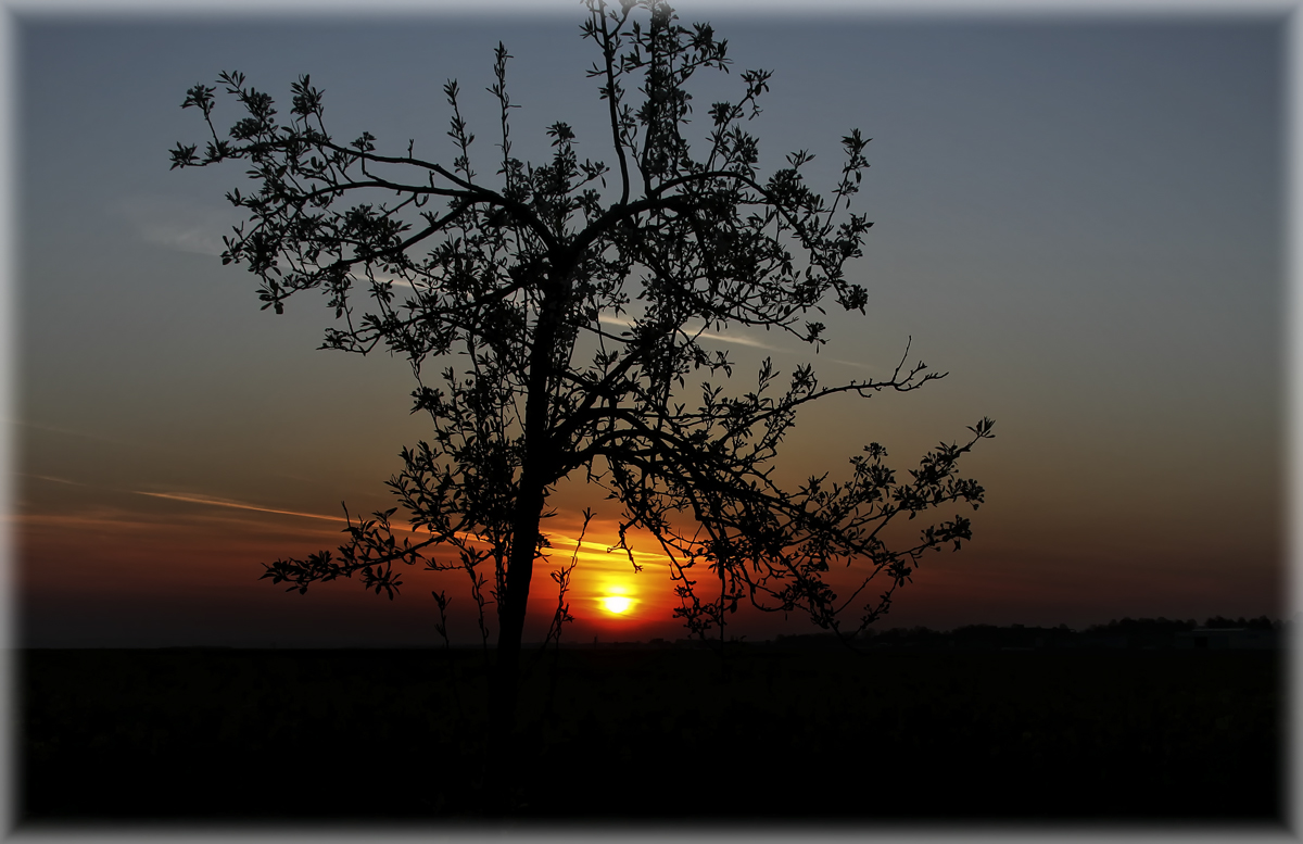 Sonnenaufgang in NRW.