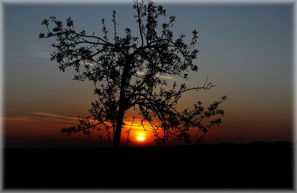 Sonnenaufgang in NRW.