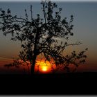 Sonnenaufgang in NRW.