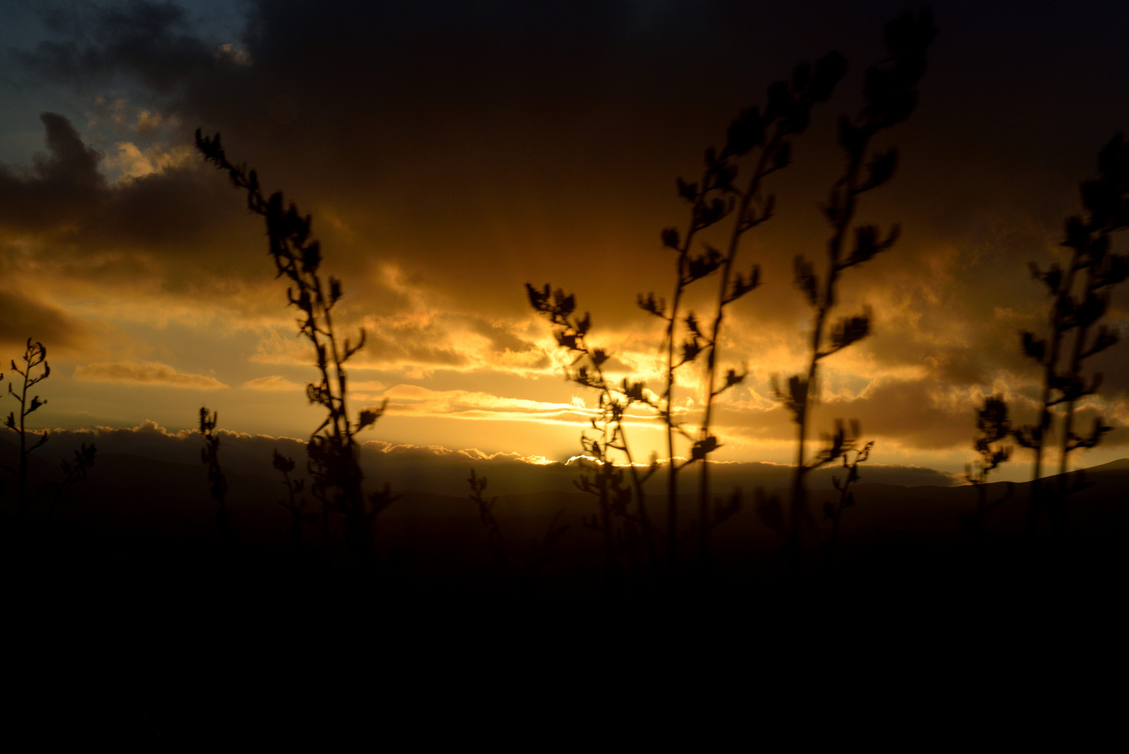 Sonnenaufgang in NZ