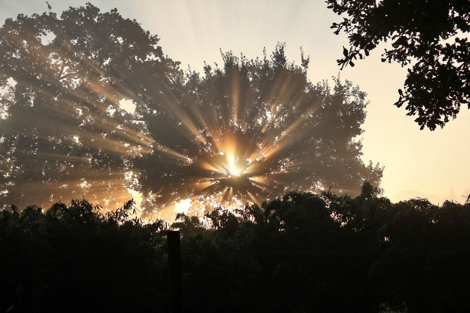 Sonnenaufgang in Ohrwegerfeld am 01. Oktober 2015