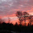 Sonnenaufgang in Oldenburg Krusenbusch