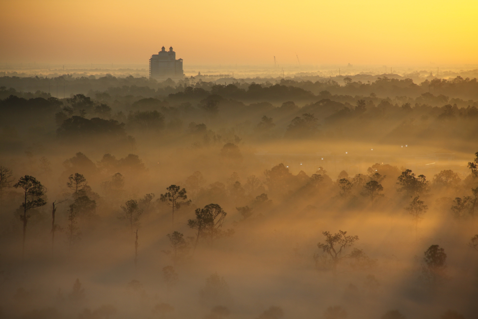 Sonnenaufgang in Orlando