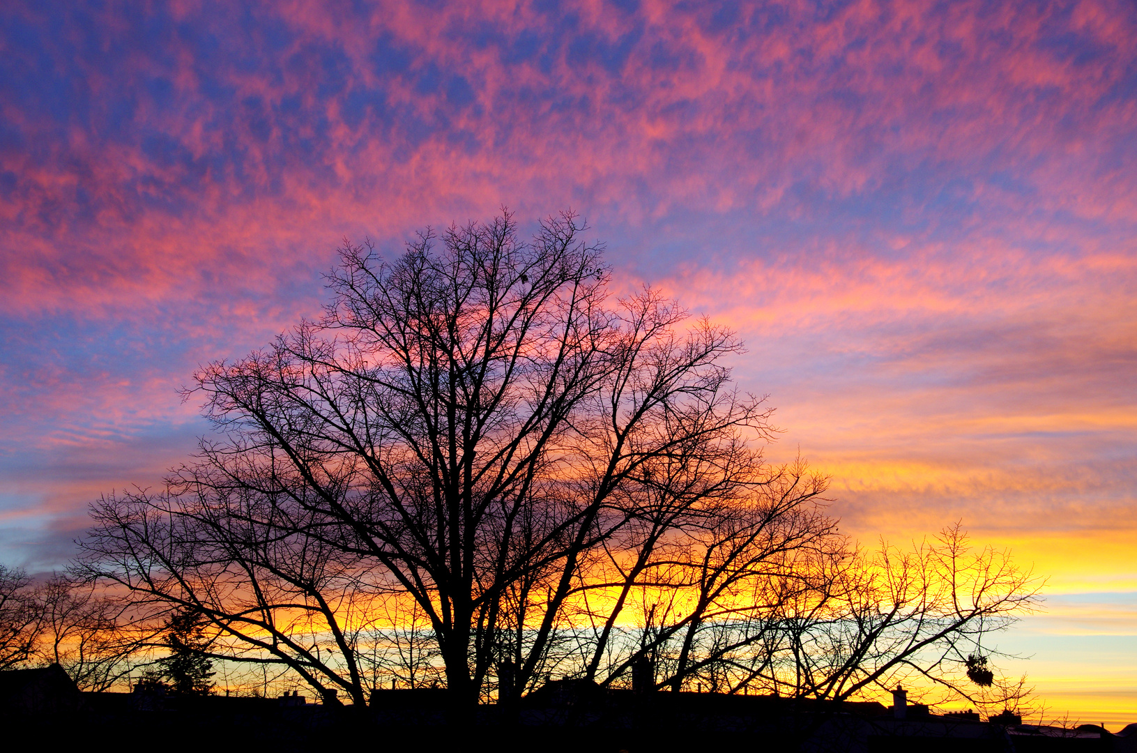 Sonnenaufgang in Pankow