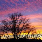 Sonnenaufgang in Pankow