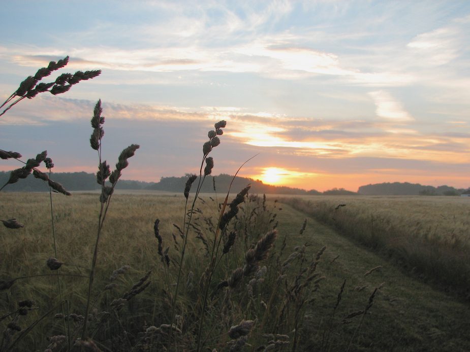 Sonnenaufgang in pastell