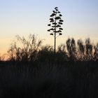 Sonnenaufgang in Portugal