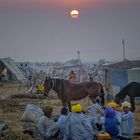 Sonnenaufgang in Pushkar