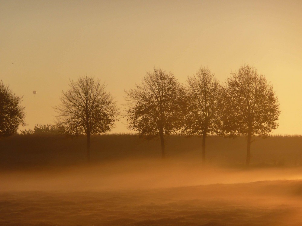 Sonnenaufgang in Raesfeld