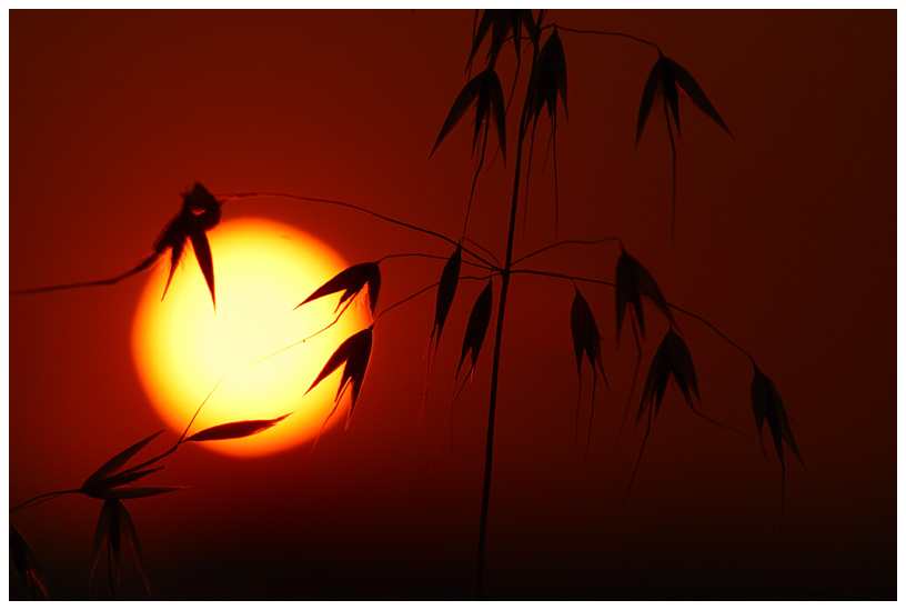 Sonnenaufgang in Raschala/Weinviertel