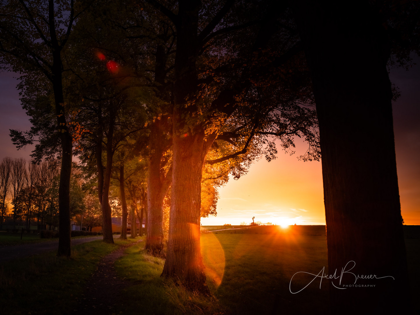 Sonnenaufgang in Rees