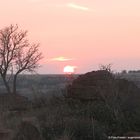 Sonnenaufgang in Renosterpoort