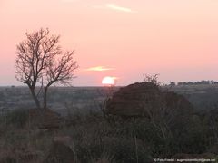 Sonnenaufgang in Renosterpoort