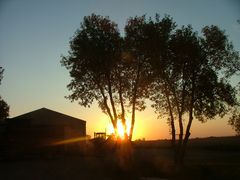 Sonnenaufgang in Revillo (South Dakota) / USA