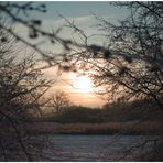 Sonnenaufgang in Rheinfeld