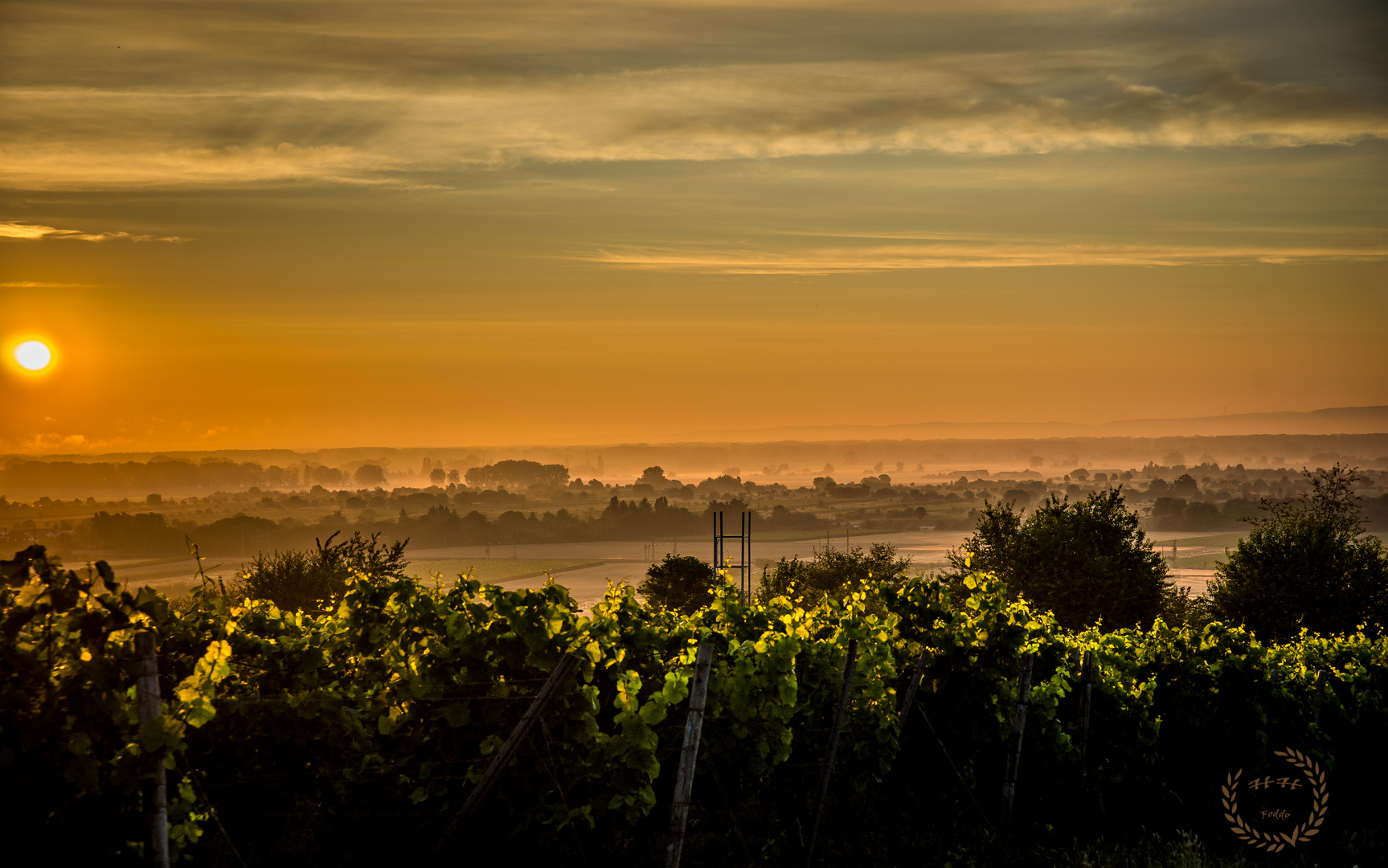 Sonnenaufgang in Rheinhessen 