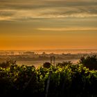 Sonnenaufgang in Rheinhessen 