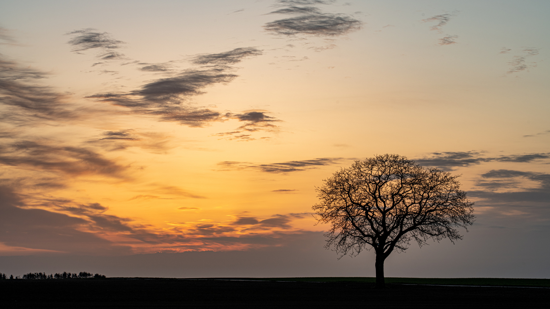 Sonnenaufgang in Rheinhessen