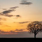 Sonnenaufgang in Rheinhessen