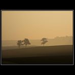 ... Sonnenaufgang in Rheinhessen ...