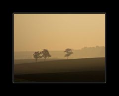 ... Sonnenaufgang in Rheinhessen ...