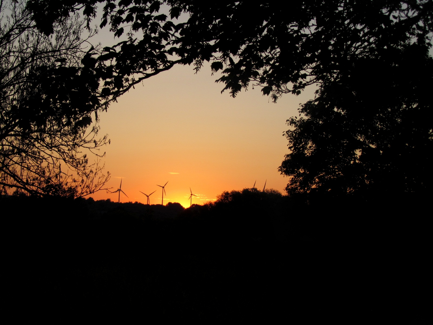 Sonnenaufgang in Sachsen Anhalt