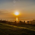 Sonnenaufgang in Saint Marie du Mont (Frankreich Normandie)