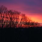 sonnenaufgang in samtens auf rügen