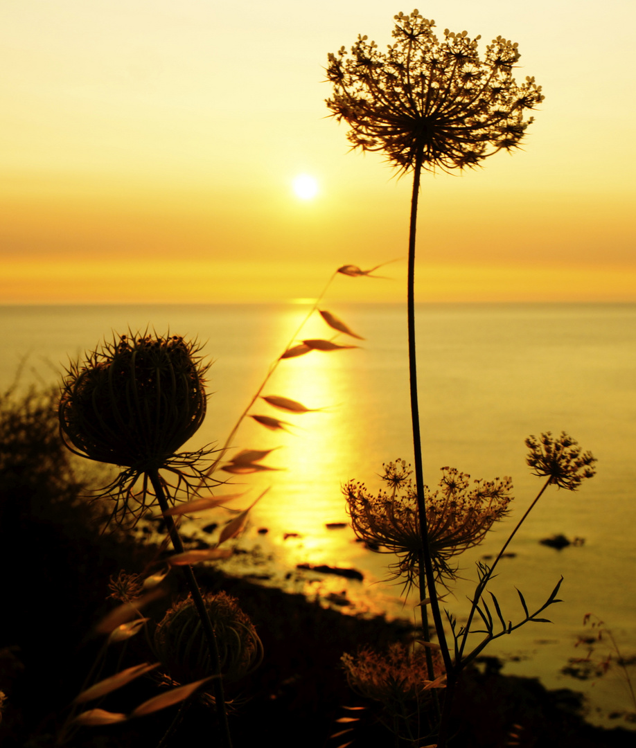 Sonnenaufgang in Sardinien II