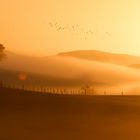 Sonnenaufgang in Sauerland