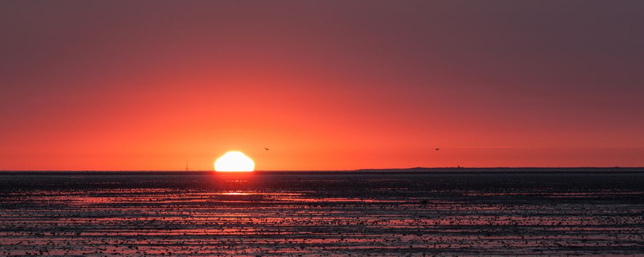 Sonnenaufgang in Schillig