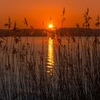 Sonnenaufgang in Schondorf am Ammersee