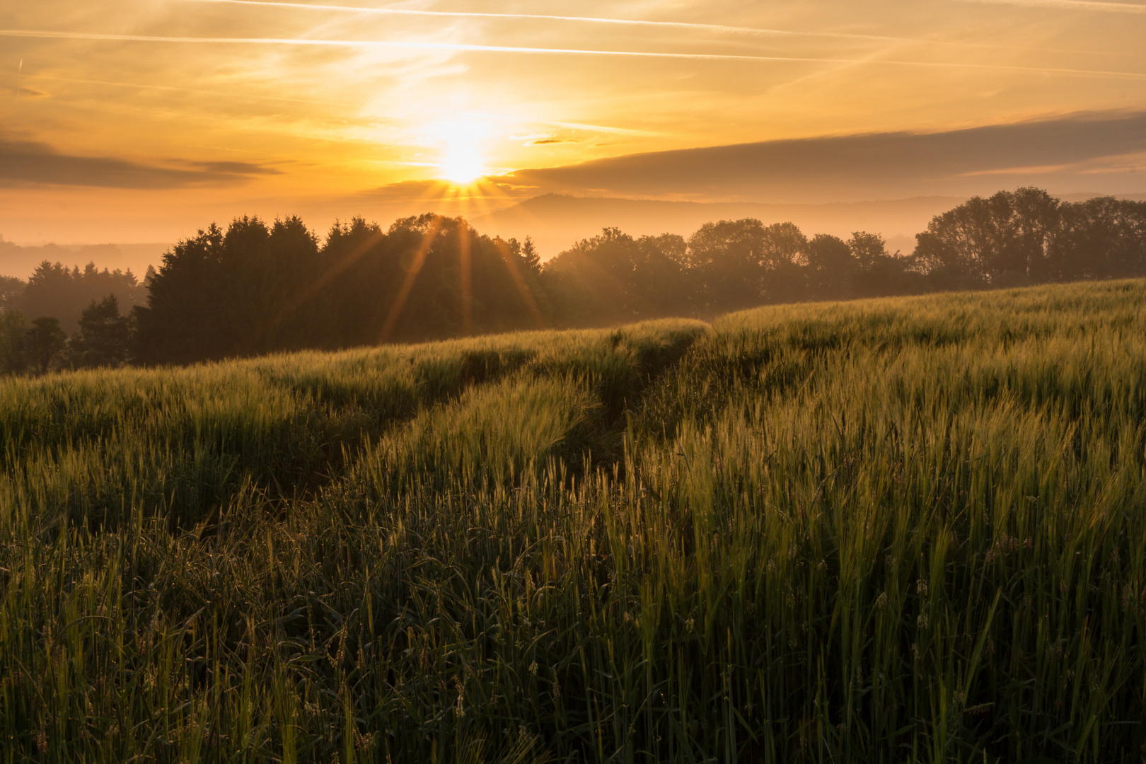 Sonnenaufgang in Schwäbisch Hall