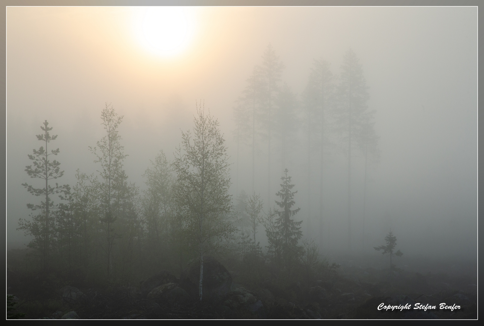 Sonnenaufgang in Schweden