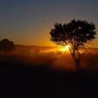 Sonnenaufgang in Sossusvlei