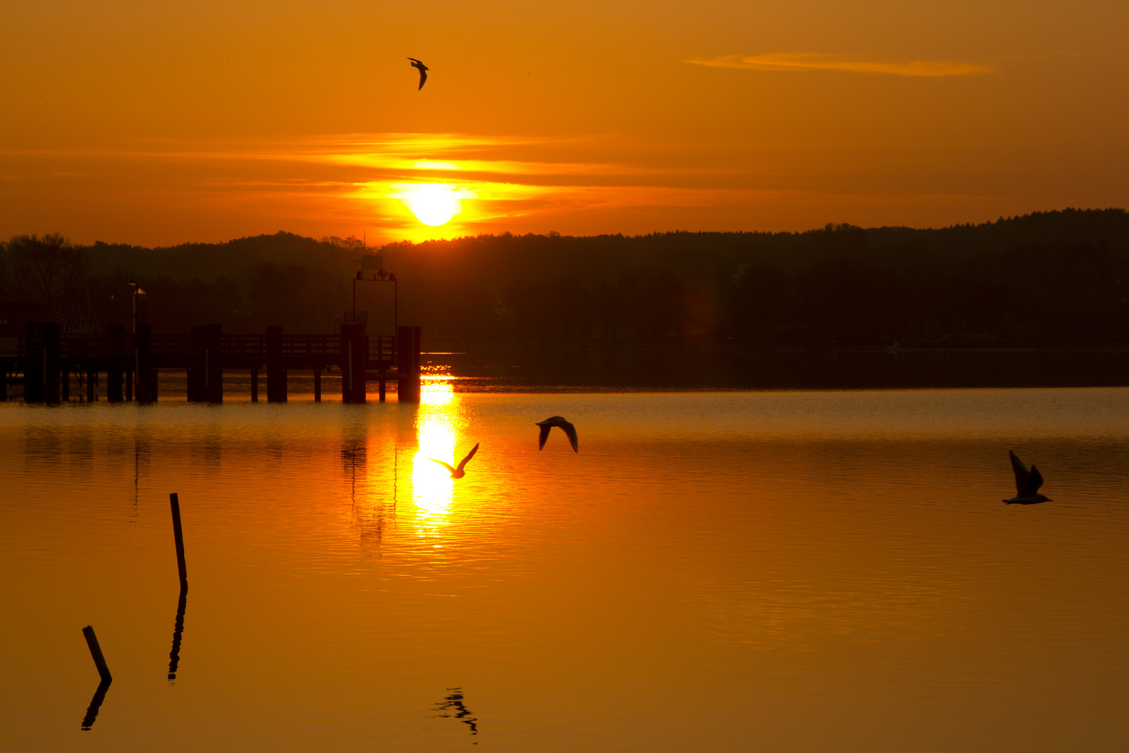 Sonnenaufgang in Starnberg (See)