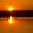 Sonnenaufgang in Starnberg (See)