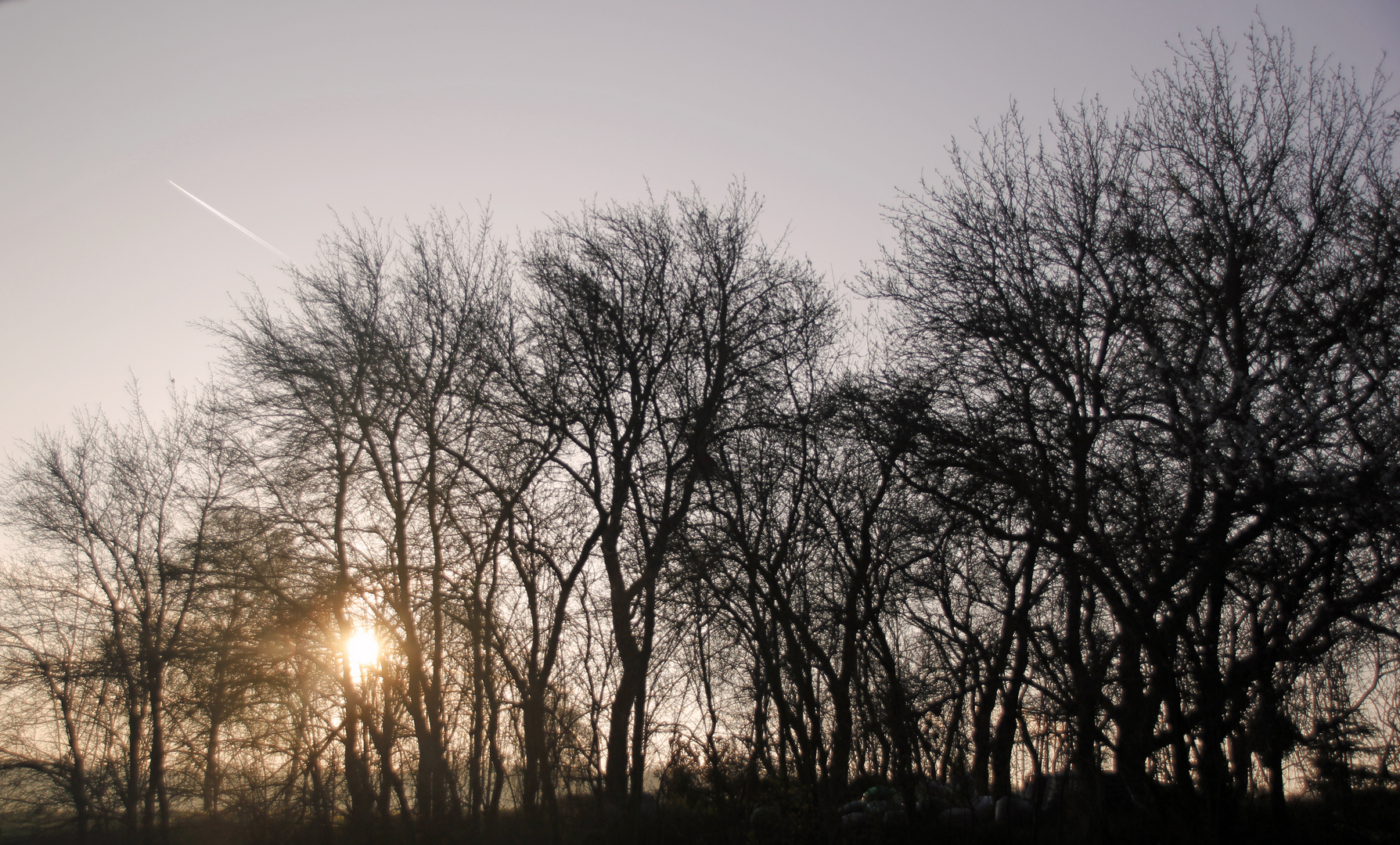 Sonnenaufgang in Strempt