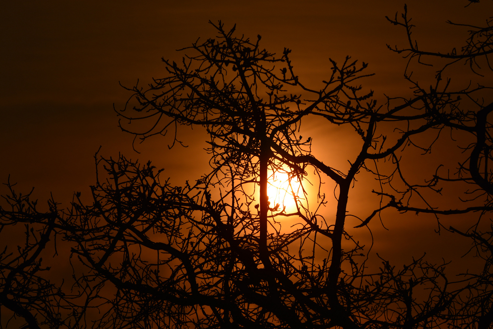 Sonnenaufgang in Südafrika