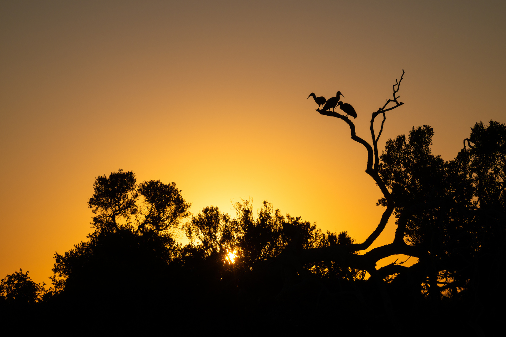 Sonnenaufgang in Südafrika