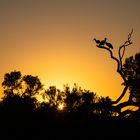 Sonnenaufgang in Südafrika