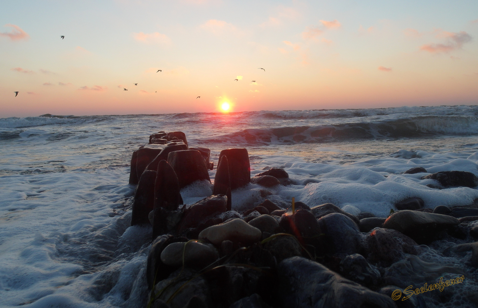 Sonnenaufgang in Süssau / Ostsee