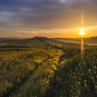 Sonnenaufgang in Taverna d`Arbia