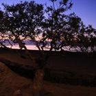 Sonnenaufgang in Tias an der Playa Matargorda - Lanzarote