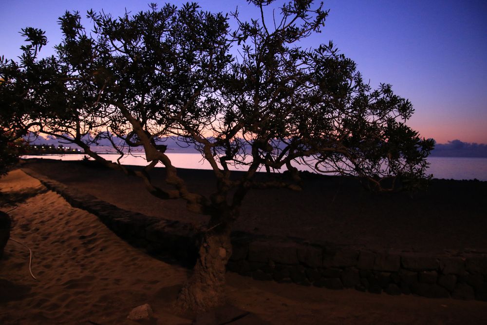 Sonnenaufgang in Tias an der Playa Matargorda - Lanzarote