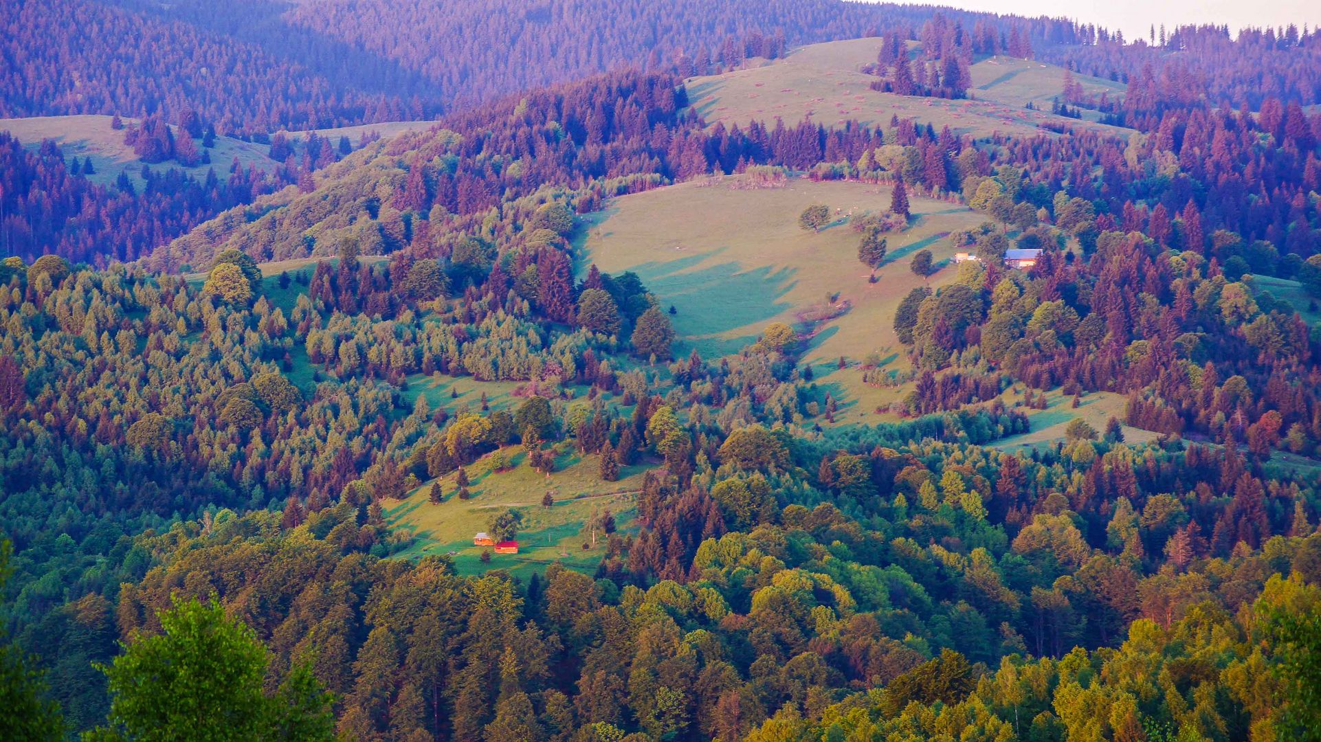 Sonnenaufgang in Transylvanien