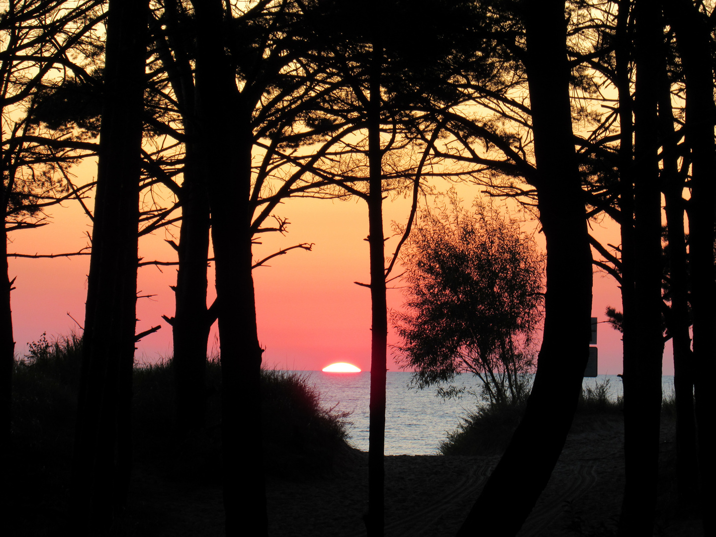 Sonnenaufgang in Trassenheide